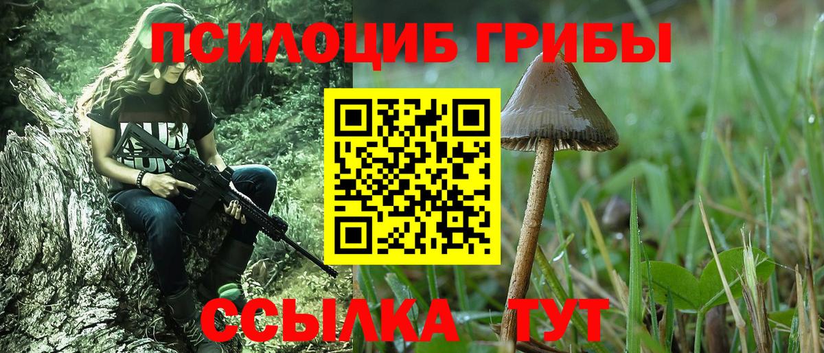 Галлюциногенные грибы GOLDEN TEACHER Хабаровск