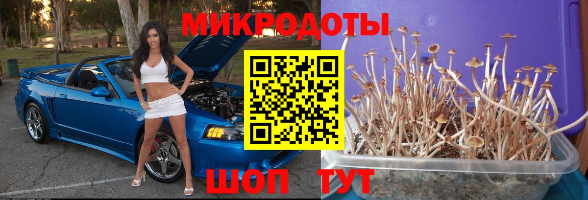 Хабаровск  Псилоцибиновые грибы GOLDEN TEACHER  Вход с VPN  Псилоцибиновые грибы Magic Shrooms 